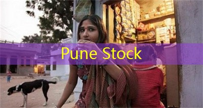 Which state in India has the highest number of stock market investors？